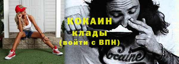 mdpv Богданович
