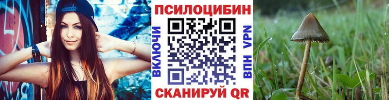 Псилоцибиновые грибы мицелий  KRAKEN зеркало  Новокузнецк  дарнет шоп 